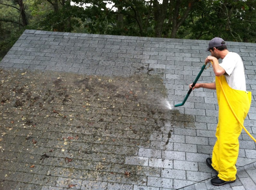 roof cleaning New Port Richey