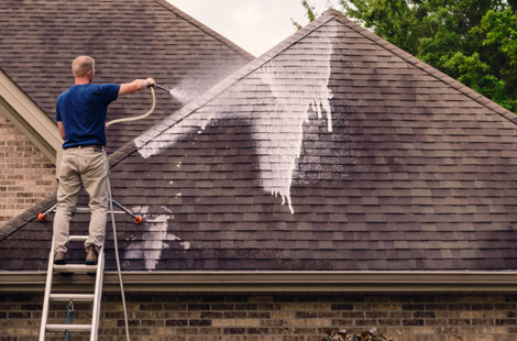 Roof cleaning services 